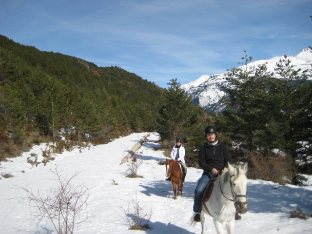  Promenade sur un chemin enneigé 